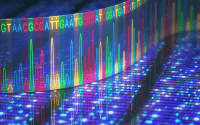 Next generation sequencing and phage microscopy