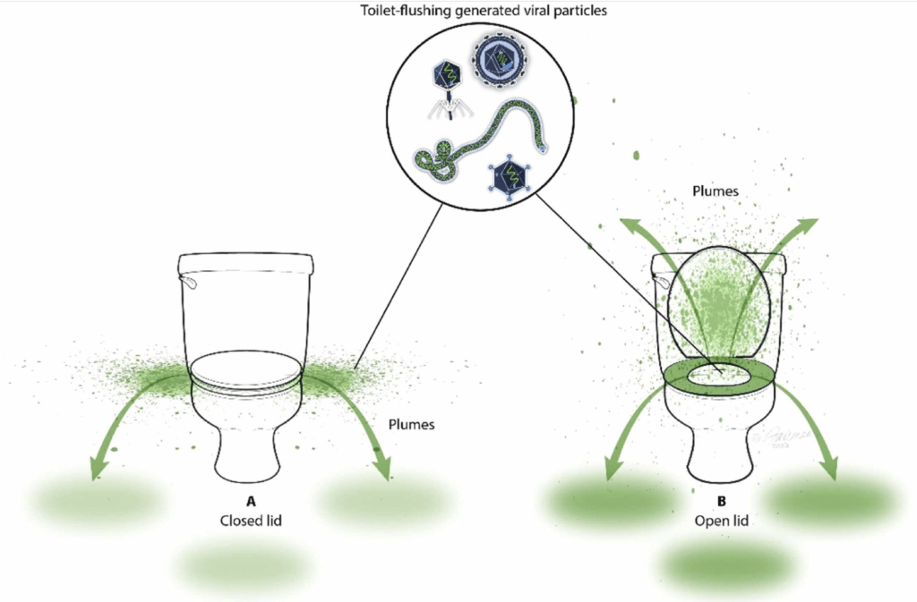 Screenshot20240127at214435 | The Phage Illustration showing the aerosolization of MS2 and its dispersal to nearby areas following the flushing of a typical US household toilet