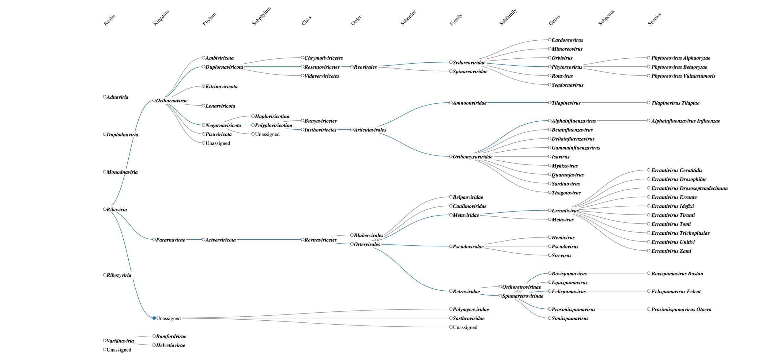 The ICTV virus taxonomy photo of an interactive visual display