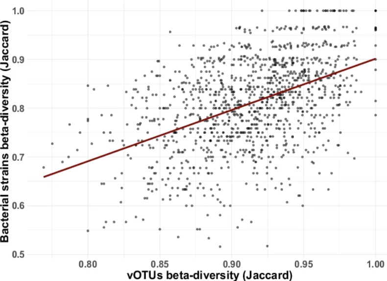 Screenshot 20251105 at 055539 | The Phage Correlation graph between viral vOTUs and strain level bacterial beta diversity in honey bees gut
